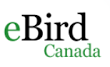 ebirdCAN-Logo